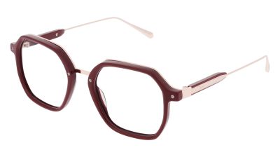 Lunettes de vue LEVEL LE 2651 RAYS RORS 49/19